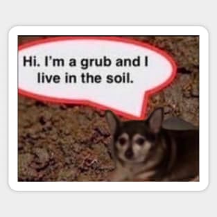 Hi I'm A Grub And I Live In The Soil Chihuahua Sticker